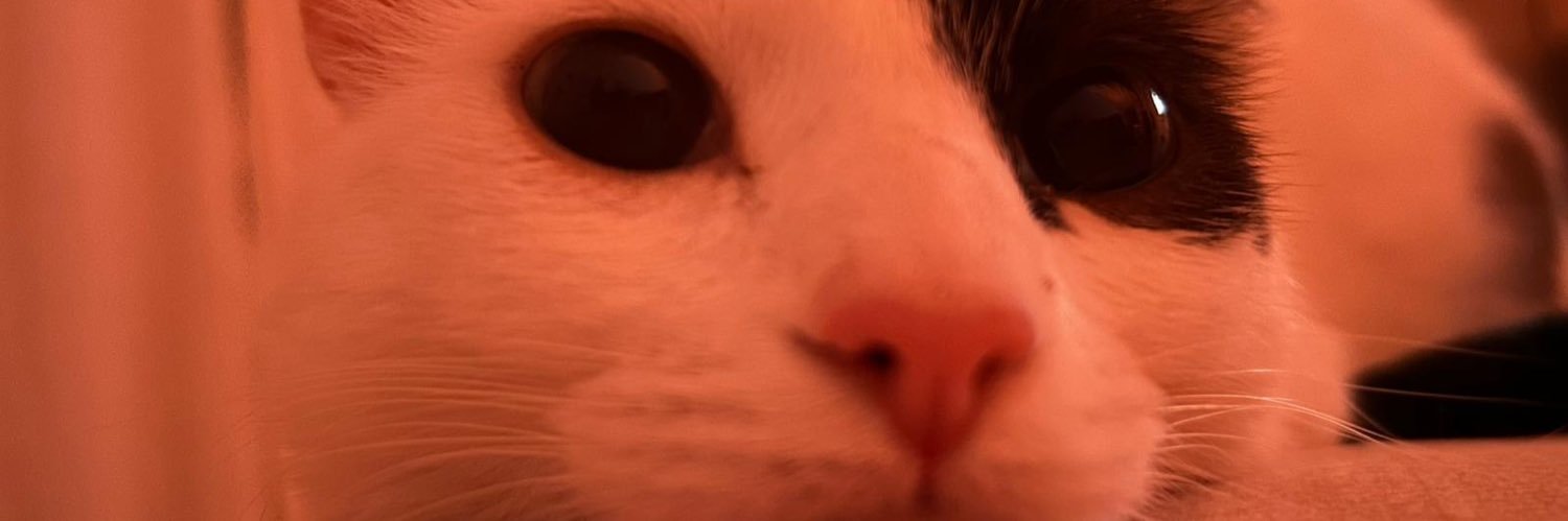 coka088's profile banner image