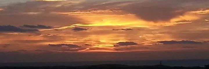 carmen_rocan's profile banner image