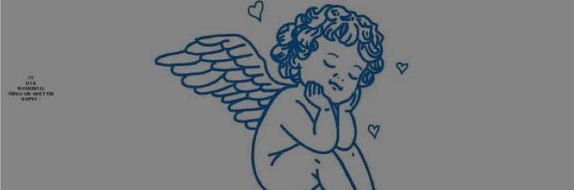 biancasmb's profile banner image