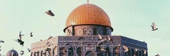 Maged199444's profile banner image