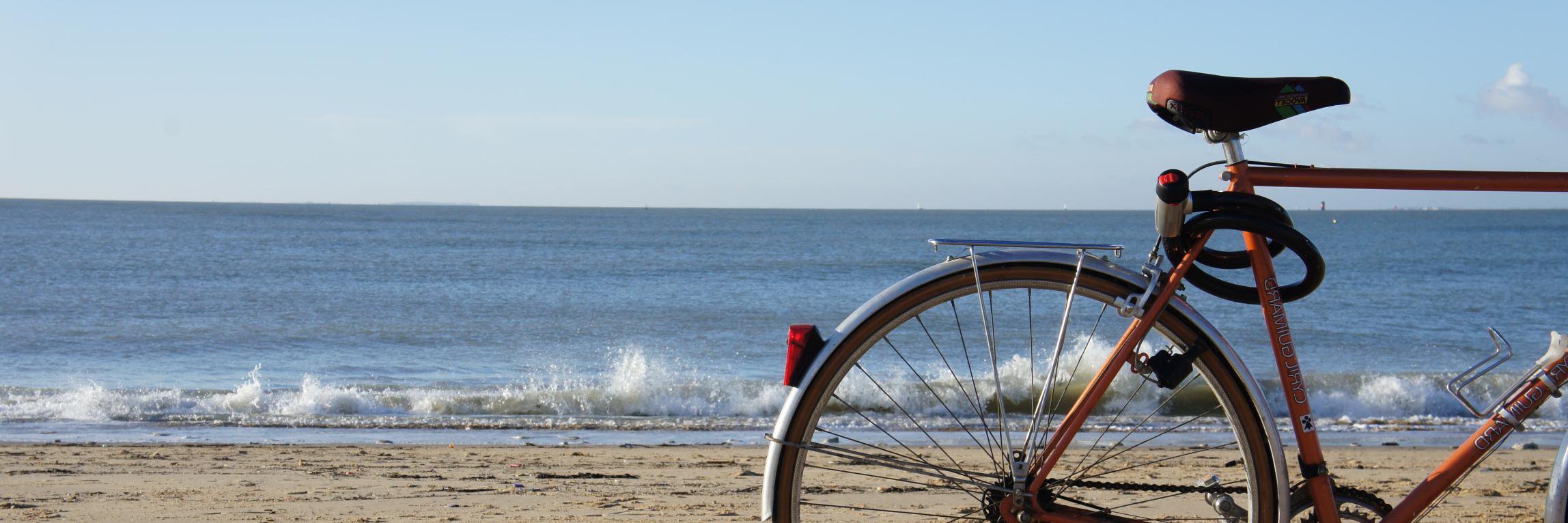 La Centrale de l'Ile de Ré banner