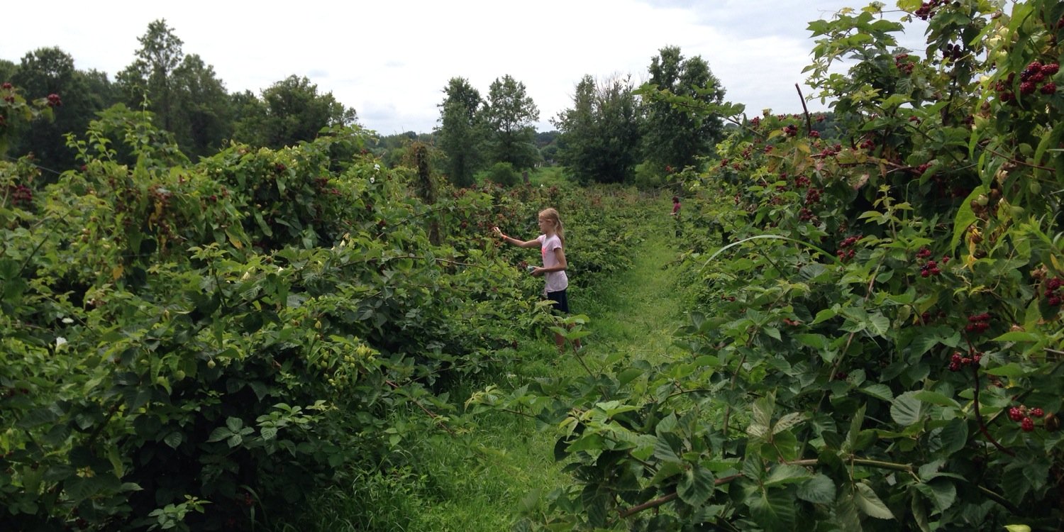 Deb 🍀 🌸 🇺🇸🇺🇦🌻 ⚖️ 🍯 🔭 banner