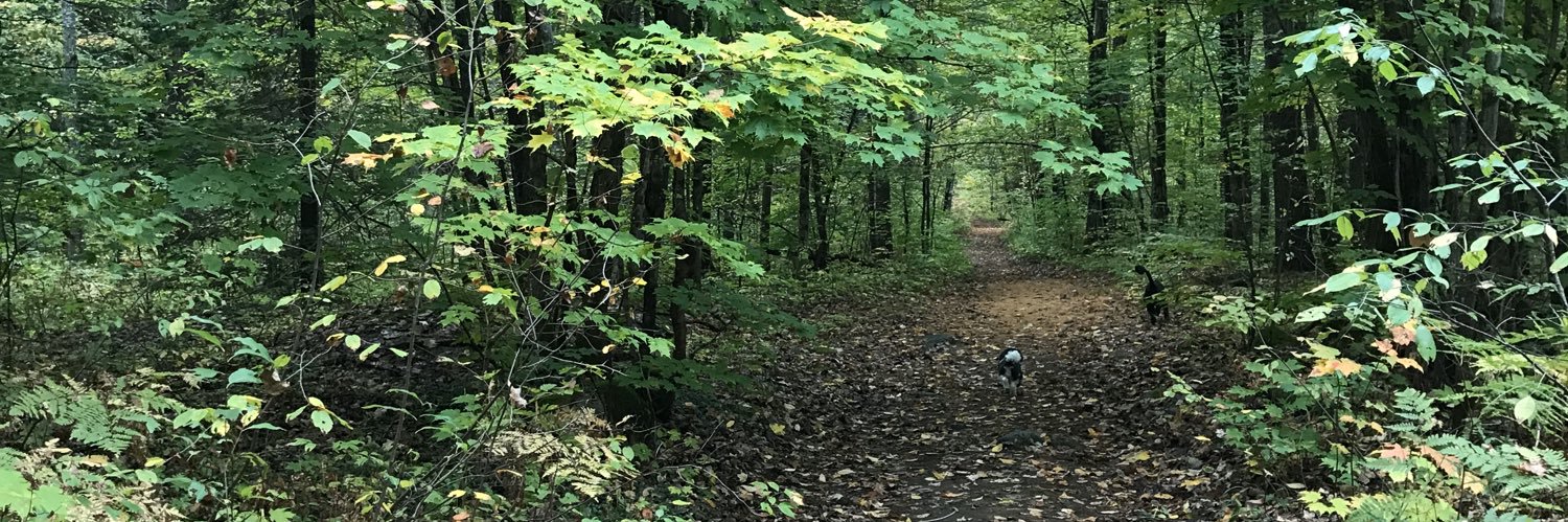 muskokastyle's profile banner image