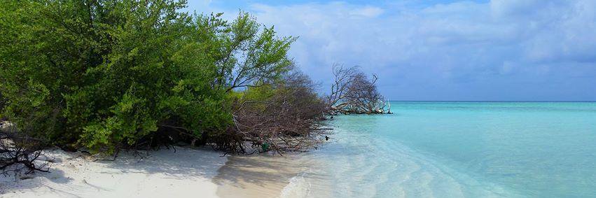 Velana Hotels banner