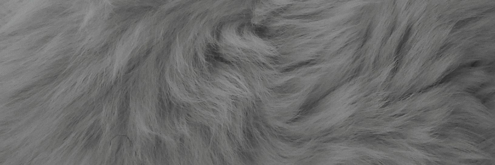 MagaliNegrette's profile banner image