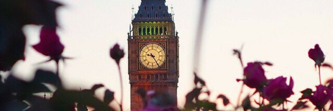 vienneiv's profile banner image