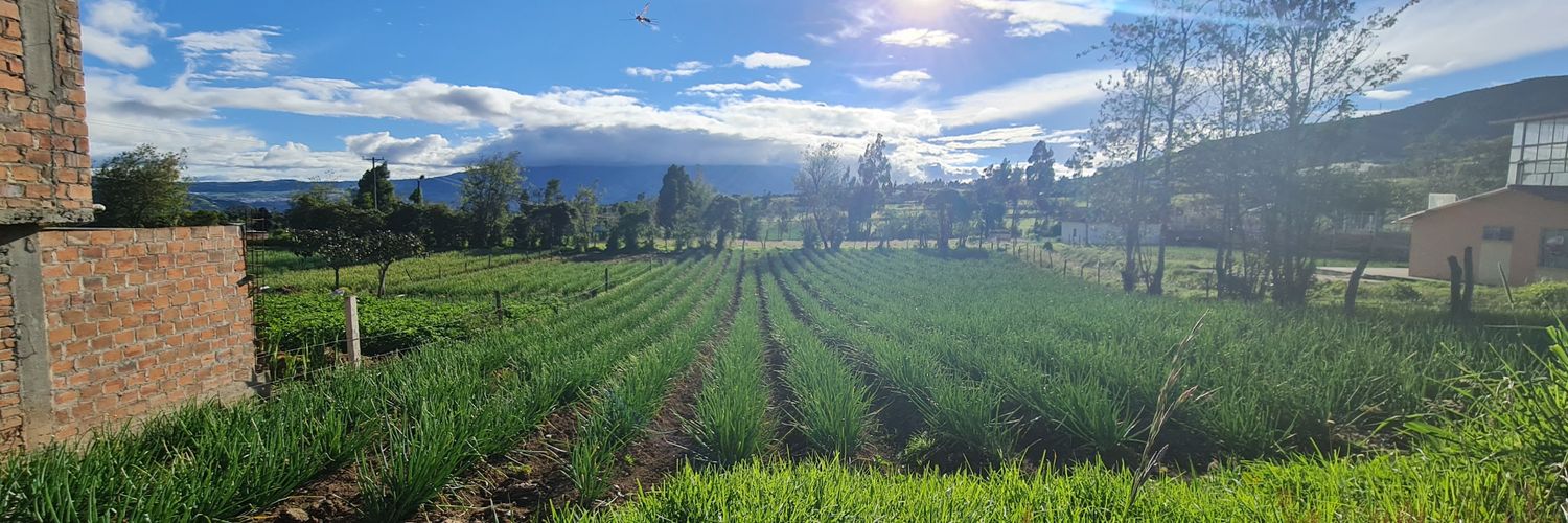 Camilo Burbano Riascos banner