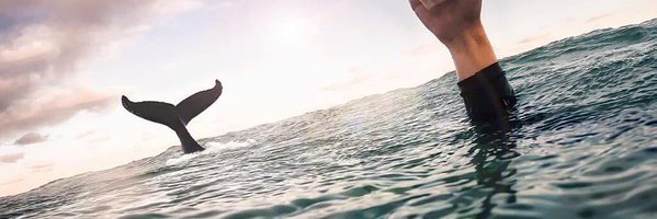 Rachelamont5's profile banner image