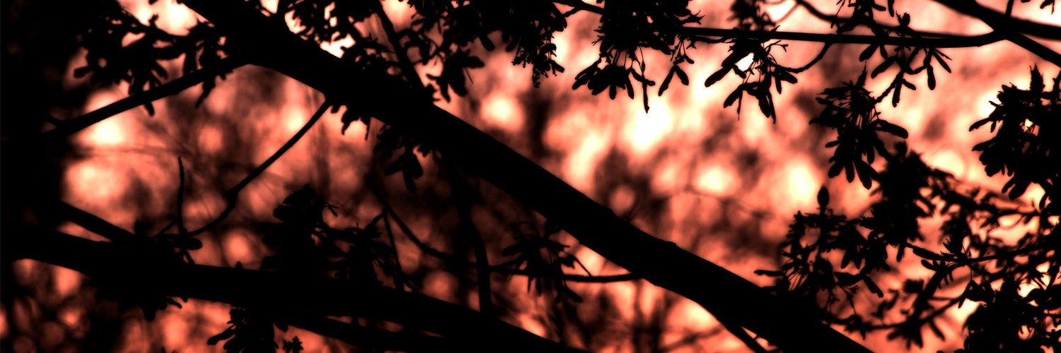 BlurryShutters's profile banner image