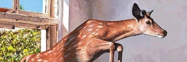 Deviangee's profile banner image