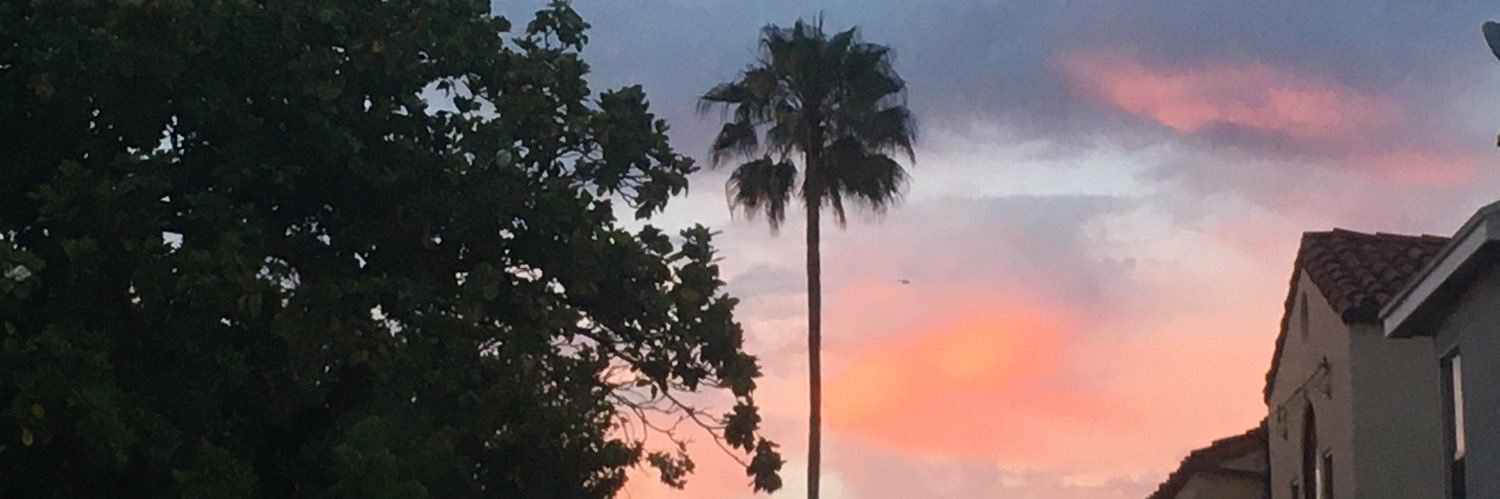 superflyraphael's profile banner image