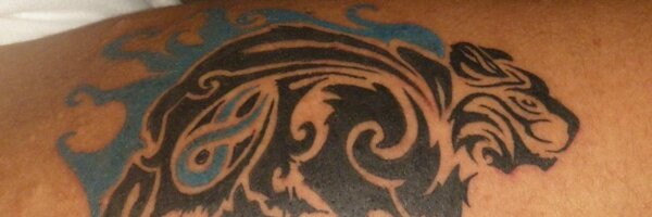 Starblitz2891 Profile Banner