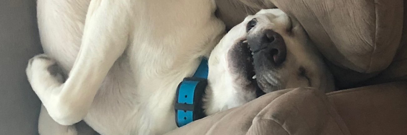 ATnTguy's profile banner image