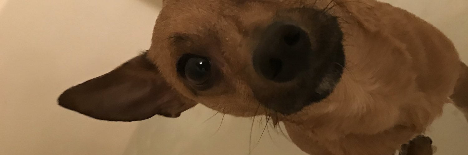 Hi_Mirian10's profile banner image