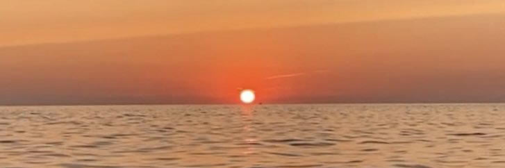 mireia banner