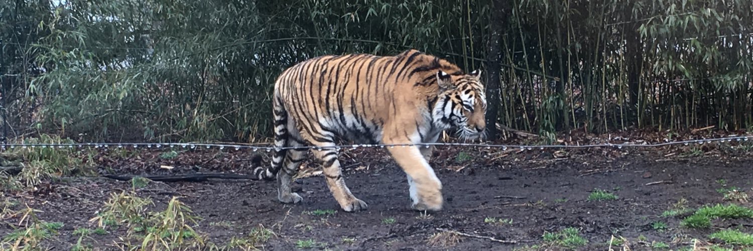 あきのりん banner