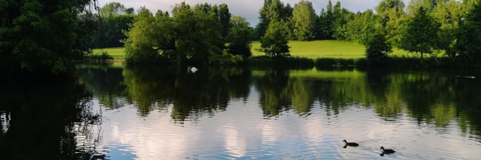 nokzefy's profile banner image