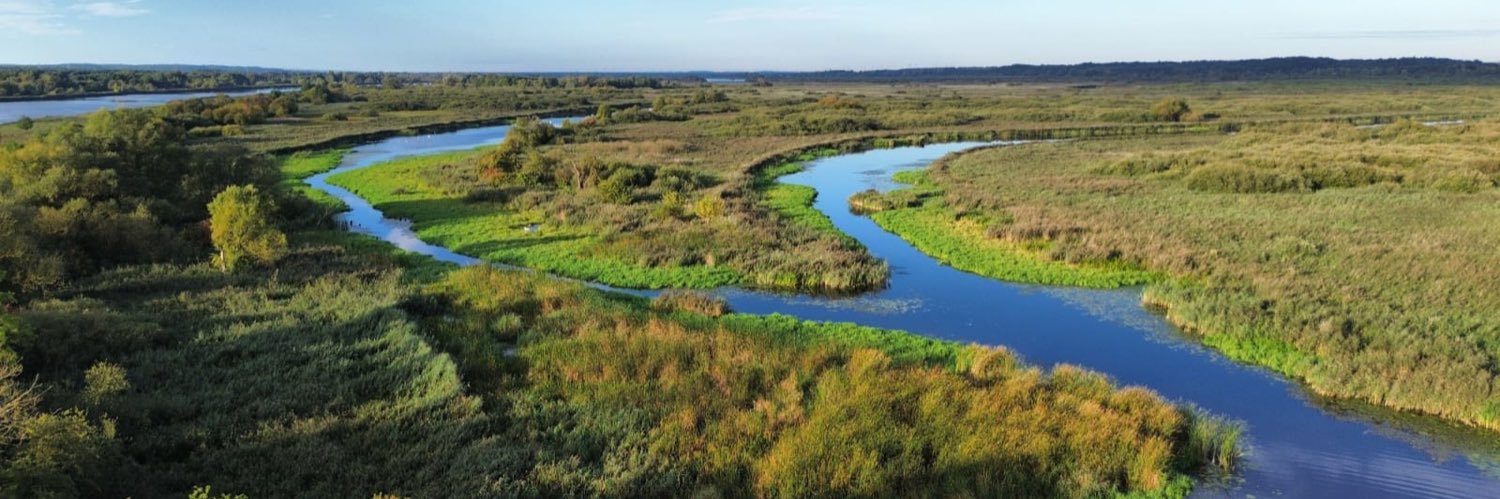 banner konta hennigkloska
