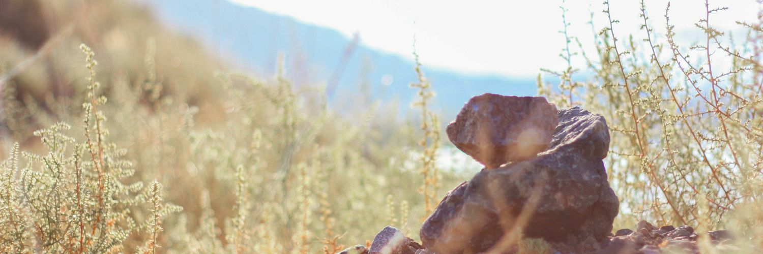 patogianella's profile banner image