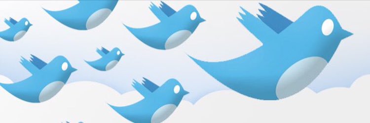 6oo3_'s profile banner image