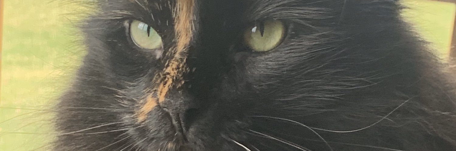 Walt2112's profile banner image