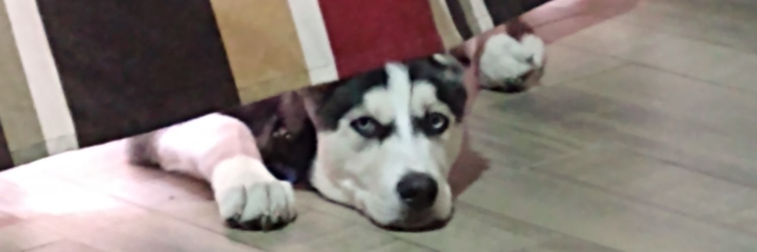 rumalejo_op's profile banner image