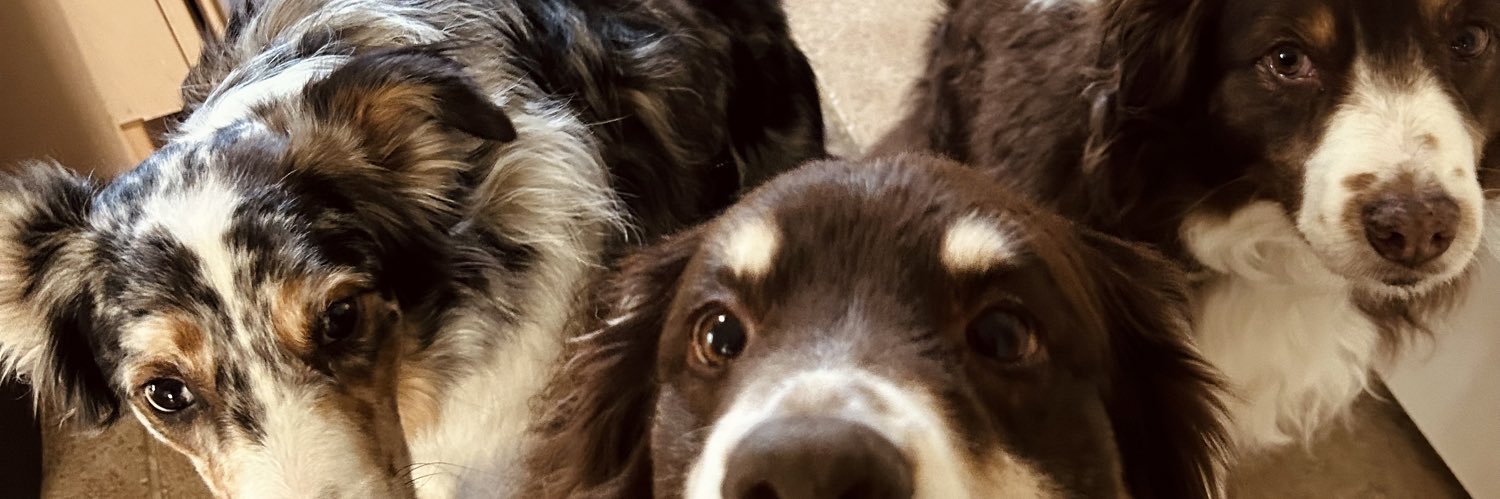 WalkerW44's profile banner image