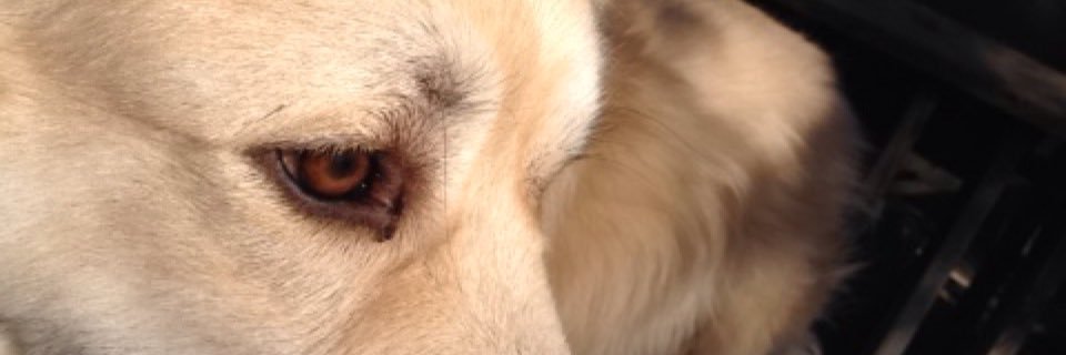 john_rognlie81's profile banner image