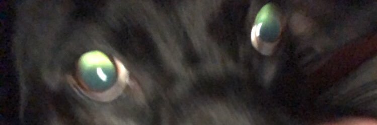 jamminjumper's profile banner image