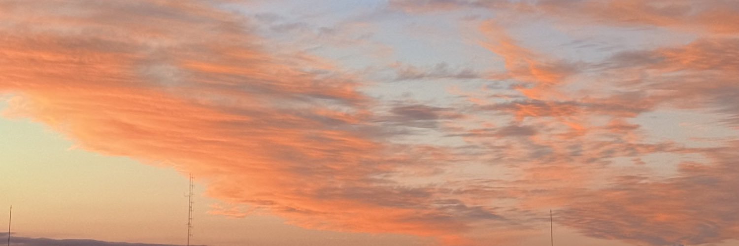 valentinanitri's profile banner image