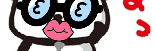 kuropanda0619's profile banner image