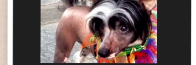 KatWPitts's profile banner image
