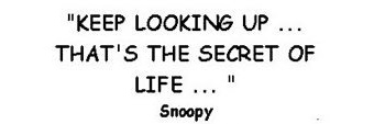 KPinon_SVSA's profile banner image
