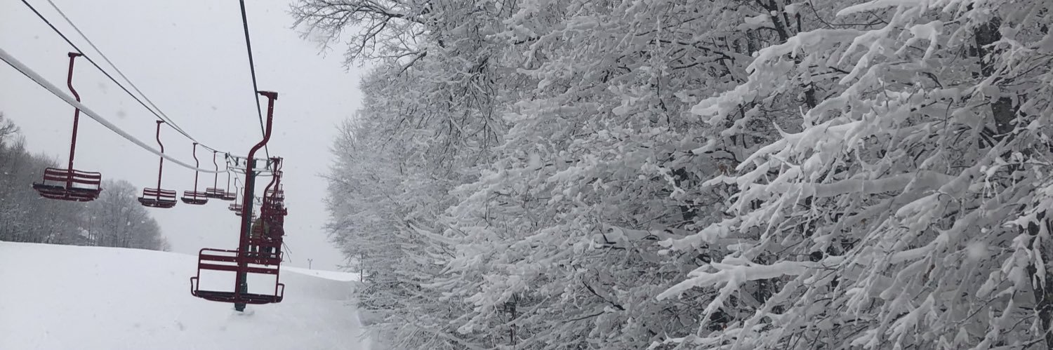 postholemalone's profile banner image