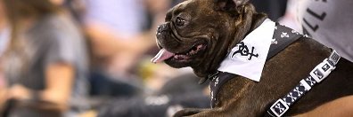 JustBeechin's profile banner image