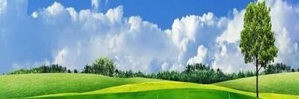 DPDESAI1's profile banner image