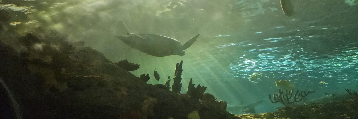 Patreca/Ivana Hump banner