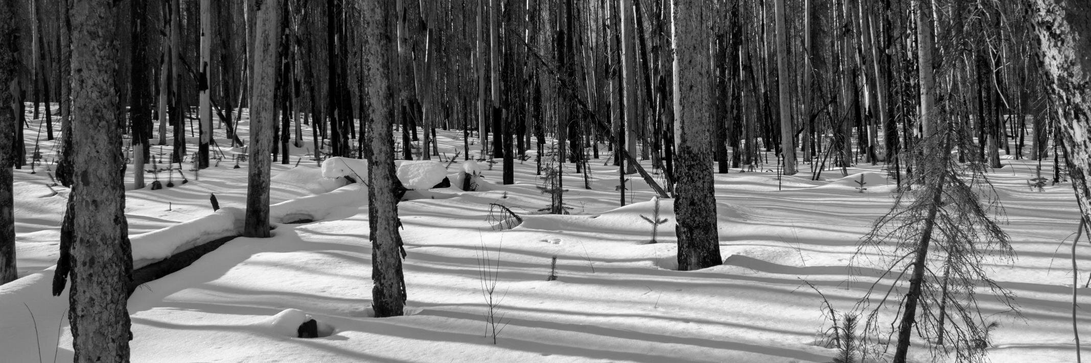 stuartkphoto's profile banner image