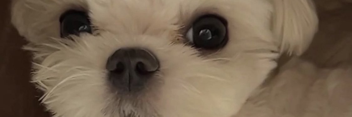 micah555_'s profile banner image