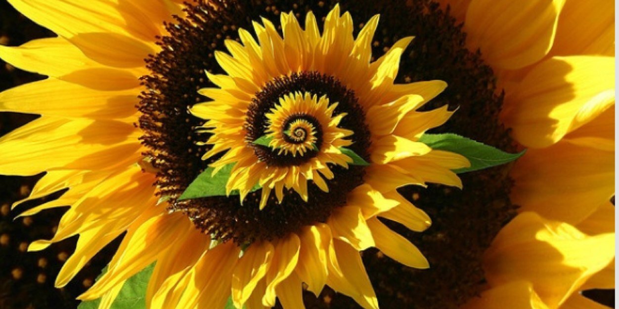 nikkkkric's profile banner image