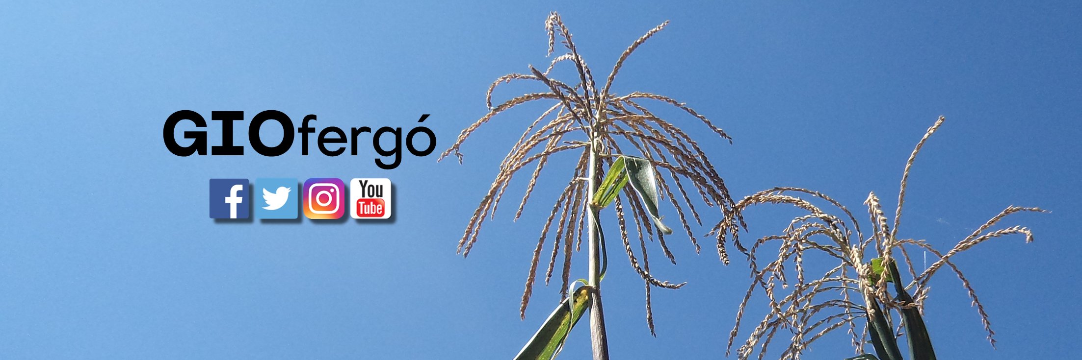 GIOfergo's profile banner image