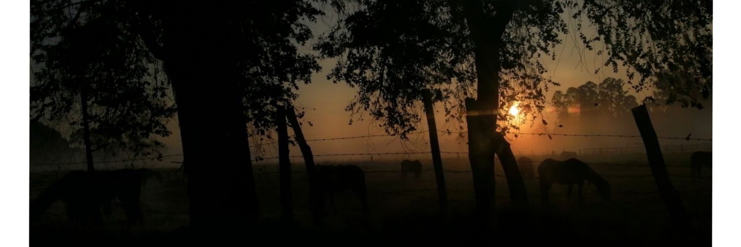 AlejaT98's profile banner image