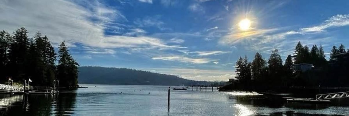 timmymoss's profile banner image