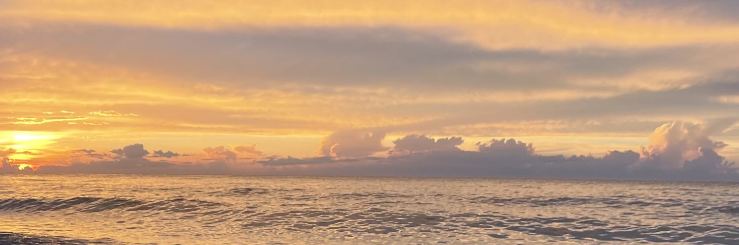 paaaolss's profile banner image