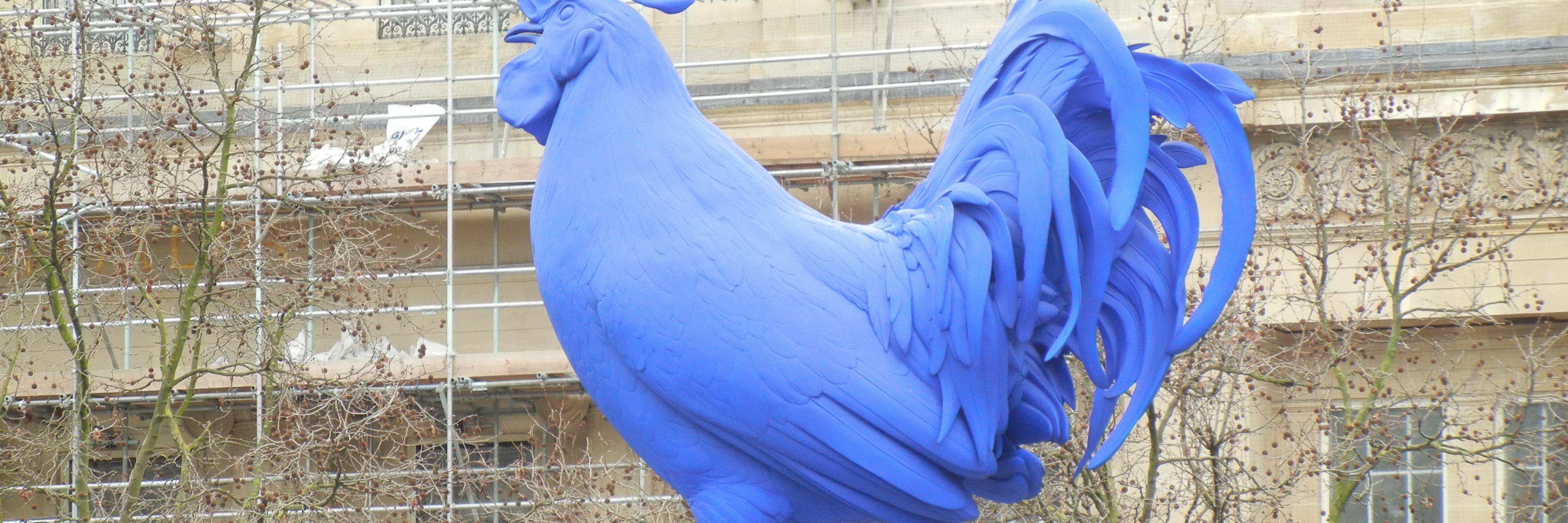 hedlesschickens's profile banner image