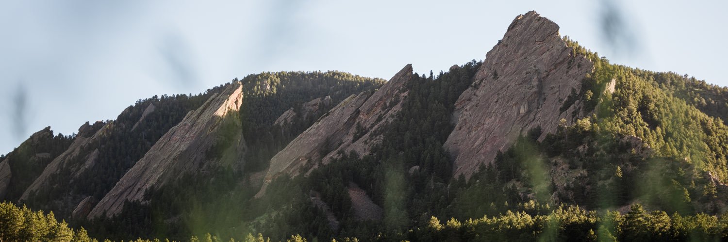 ereece16's profile banner image