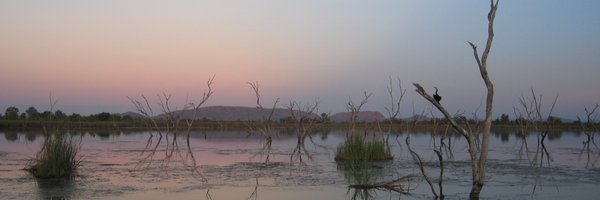 theonelh Profile Banner