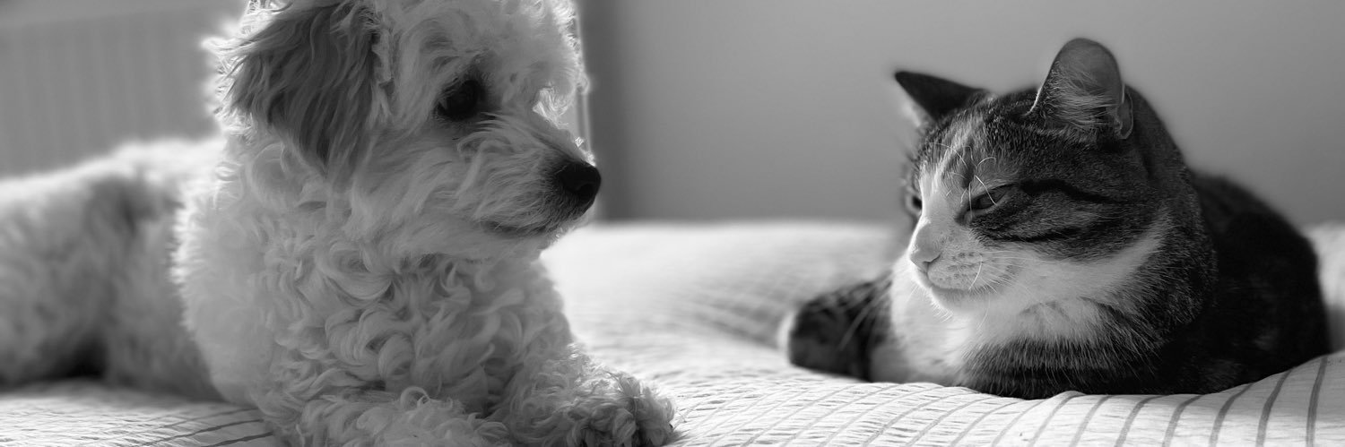 imogenharris_'s profile banner image