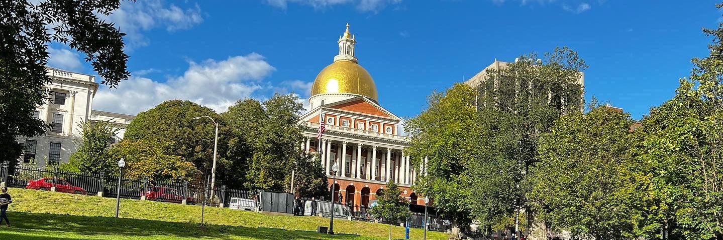 Rodolfo Rocha banner