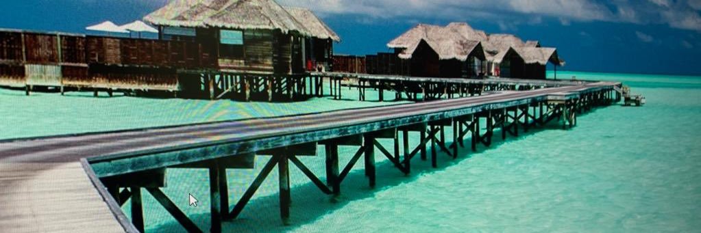 Rocio Rodriguez banner